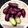 horseland's cooksnap of when they made 蒸しさつまいも.