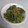 うぐいす♪'s cooksnap of when they made 簡単！ほうれん草の胡麻和え.