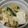 横山允謙's cooksnap of when they made 簡単もう一品！ツナきゅうり豆腐サラダ.