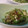 にゃんがす's cooksnap of when they made 納豆昆布とオクラの松前漬け風.