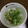 せつせつせつ's cooksnap of when they made ☆豆苗としらすとツナのサラダ☆.
