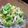有希-yuki-'s cooksnap of when they made 海からサラダフレーク★サラダ.