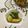 ◆◇Wtiti＊◇◆'s cooksnap of when they made ごま油香るきゅうりの漬物.