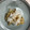 クックGFY8CA☆'s cooksnap of when they made 鯖の立田揚げ風のおろし納豆.