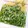 まゃりんこぉ's cooksnap of when they made 簡単で旨いっ!ゴーヤの甘浅漬け(漬物).