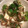 YASTN's cooksnap of when they made ★オクラとみょうがのシンプル和え★.