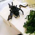 ユーロン's cooksnap of when they made おつまみ冷奴 塩昆布 オリーブオイル.