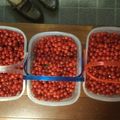 フミえもん526's cooksnap of when they made お砂糖控えめ！絶品ユスラウメジャム.