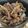 natsumi_y's cooksnap of when they made ご飯進む☆プルコギ♪.