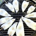 しぶかわ栗子's cooksnap of when they made イカ焼きを柔らかく！　ポン焼き.