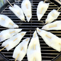 しぶかわ栗子's cooksnap of when they made イカ焼きを柔らかく！　ポン焼き.