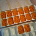 mdrn…✧'s cooksnap of when they made ★離乳食中期★ニンジン！人参！にんじん.