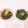 クック6Y3X1K☆'s cooksnap of when they made めんつゆで簡単！ほうれん草のおひたし.