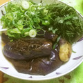 ともゆきりん's cooksnap of when they made 応用がききます♪なすの煮浸し.