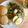 Y✿えくぼ飯's cooksnap of when they made 甘酒とチアシードの白パン〜低温発酵〜.