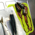 ニャンちゅう23's cooksnap of when they made 超簡単！きれい！魚の内臓の取り方.