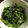 eoll's cooksnap of when they made ピーマンの塩昆布炒め.