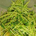凪なぎ's cooksnap of when they made 豆苗の簡単おひたし.