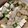 Hamachi_'s cooksnap of when they made 簡単！サッパリ 豆腐とえのきのおろし煮.