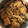 R2016's cooksnap of when they made 厚揚げと舞茸の煮物.