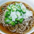 ミサシオハヤ♪'s cooksnap of when they made 冷たいオクラおろしそば.