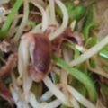クックVK2ANN☆'s cooksnap of when they made 砂肝ともやしの中華風ネギ塩炒め.