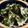 suppa25's cooksnap of when they made 居酒屋風☆海苔とパクチーのサラダ.