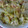 ナーちゃん's cooksnap of when they made 簡単5分！カニカマとレタスの中華旨煮.