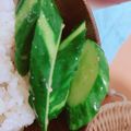 northtai1's cooksnap of when they made クレイジーソルトで❤簡単きゅうりの浅漬け.