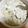 大人アトピーのごはん's cooksnap of when they made 豆乳味噌おじや.