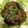 紅樹♬'s cooksnap of when they made 焼肉のタレと豚コマで簡単！麻婆茄子風.
