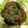 紅樹♬'s cooksnap of when they made 焼肉のタレと豚コマで簡単！麻婆茄子風.