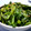 Yuminmama's cooksnap of when they made からし菜のおかか和え.