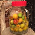 月の影と海's cooksnap of when they made 簡単！梅も美味しい梅酒です♪.