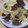 きらり流れ星's cooksnap of when they made 我が家の中華✿新玉ねぎと木耳の炒め.