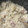 roseclover's cooksnap of when they made ✿きのこの洋風炊き込みご飯✿.