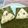 おはなすき's cooksnap of when they made 梅干しと一緒につけた赤じそのおにぎり.