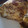 リトル黒豆マーメイド's cooksnap of when they made くるくる＠巻いて～厚焼き卵.