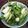 アル君's cooksnap of when they made 青梗菜のサラダ.