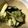 クックZ7AWUX☆'s cooksnap of when they made なすのからし漬け.