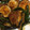 けんけん0801's cooksnap of when they made 夏野菜半熟卵の肉巻きオイスターソース絡め.