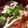 もきち☆'s cooksnap of when they made キムチ丼.