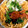 horseland's cooksnap of when they made イクラ！蟹！鮭！簡単美味な海鮮ちらし寿司.
