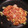 さ、き's cooksnap of when they made お好み焼き風卵焼き.