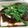 クックGOEMMM☆'s cooksnap of when they made 【超簡単絶品】香辣涼豆腐【本格中華冷奴】.