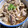 きみもも116's cooksnap of when they made 簡単☆鯖缶えのき(無水鍋QC使用).
