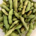 めるたろう's cooksnap of when they made 枝豆の美味しい茹で方.