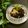 Hirarinn☆'s cooksnap of when they made おやつに簡単❀和風❀珈琲ゼリー✿+.*.