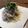 ☆Atsuko☆'s cooksnap of when they made 簡単！豚しゃぶ.
