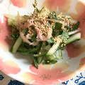 しゅい6's cooksnap of when they made きゅうりのさっぱり炒め.